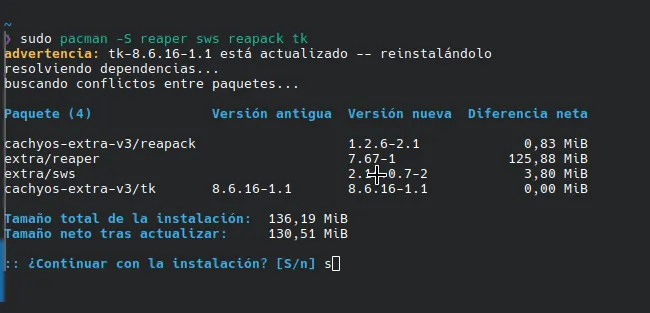 Una terminal preguntado descargando REAPER y otras cosas. Le pregunta al usuario quiere continuar.