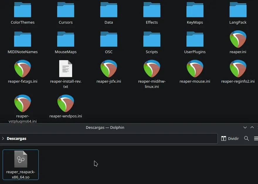 Arrastrando el archivo de ReaPack a 'UserPlugins' dentro de la carpeta de recursos de REAPER.