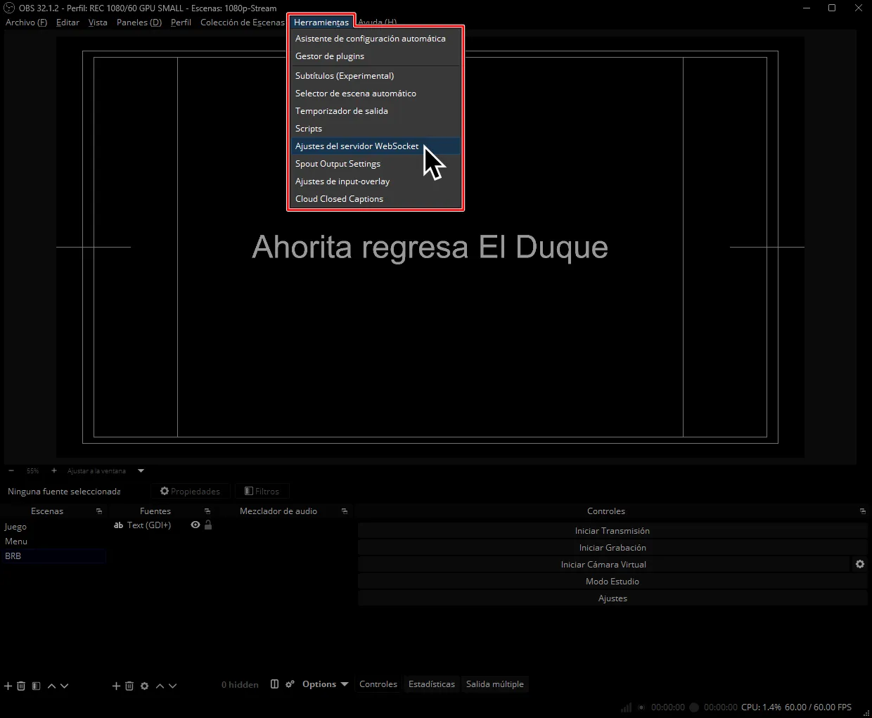 Entrando a 'Ajustes del servidor WebSocket' bajo 'Herramientas'.
