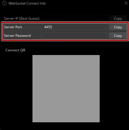 'WebSocket Connect Info' with the Server Port and Server Password highlighted.