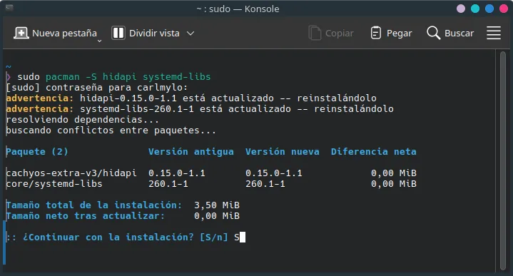 Una terminal abierta con el comando escrito.