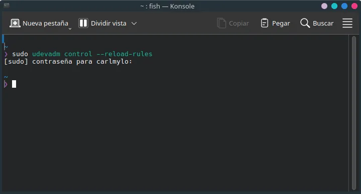 Una terminal abierta con el comando escrito.