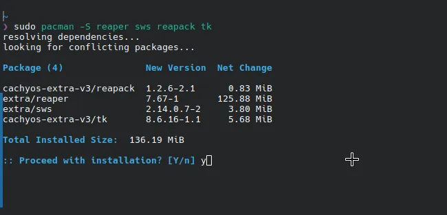 A terminal downloading REAPER along with some other stuff. It asks the user if they're sure if they want to proceed.