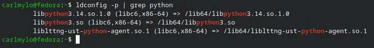 A terminal showing two Python library entries.