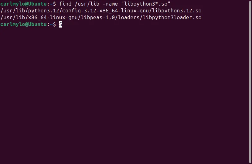 A terminal showing two Python library entries.